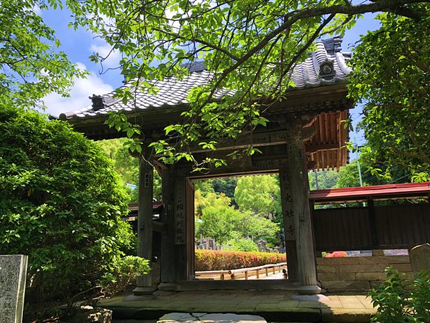 鎌倉光触寺の総門