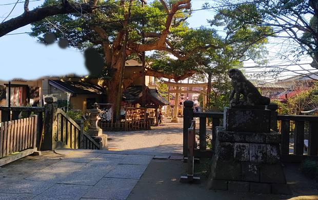 御霊神社境内